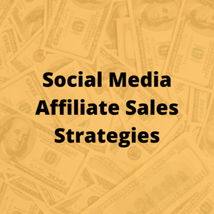 Affiliate Marketing Mastery, List Building and Sales Generation With Free and Paid Traffic Thumbnail